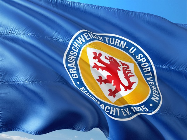 意的案例是 意的案例是