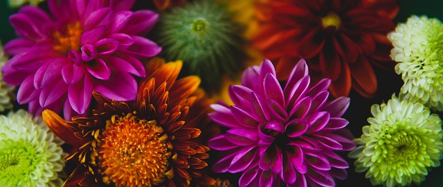 成功稳固了 成功稳固了