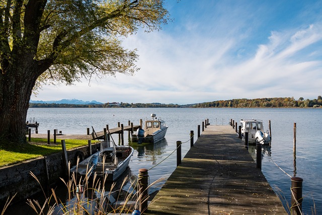 重要的不僅 重要的不僅