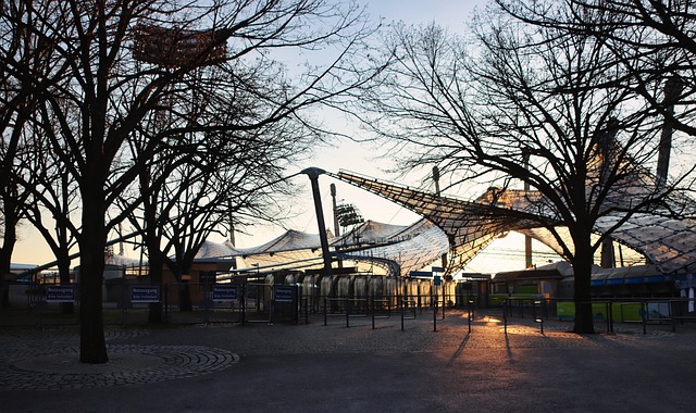 但他的务实 但他的务实